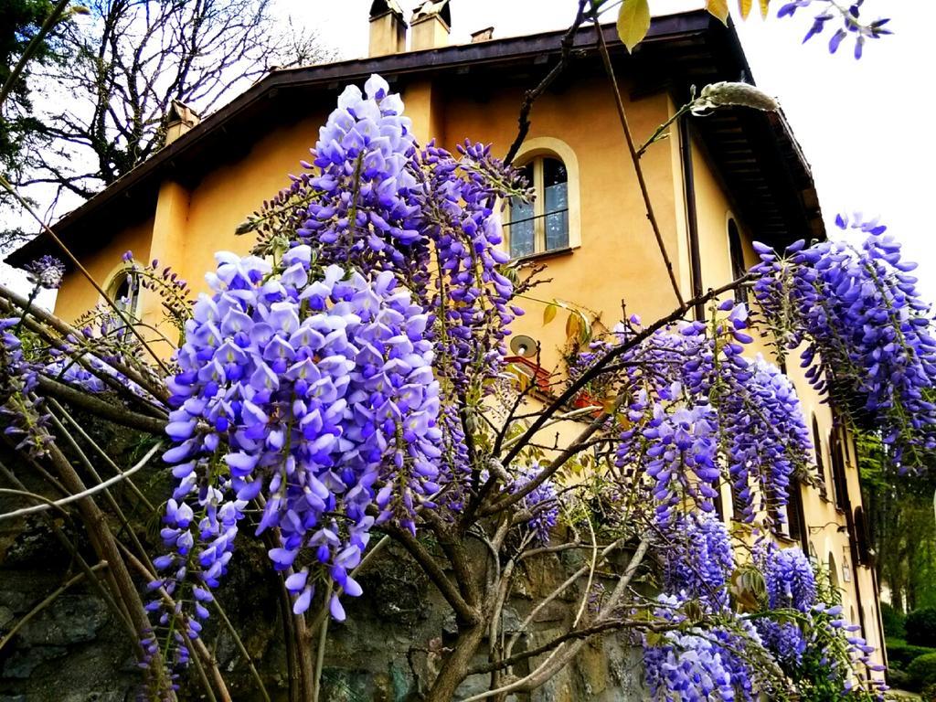 La Locanda del Borgo Pietralunga (Umbria) Exterior foto